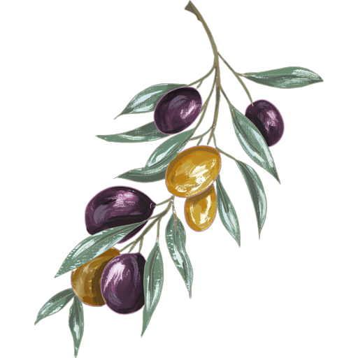 Illustration of an Olive Branch